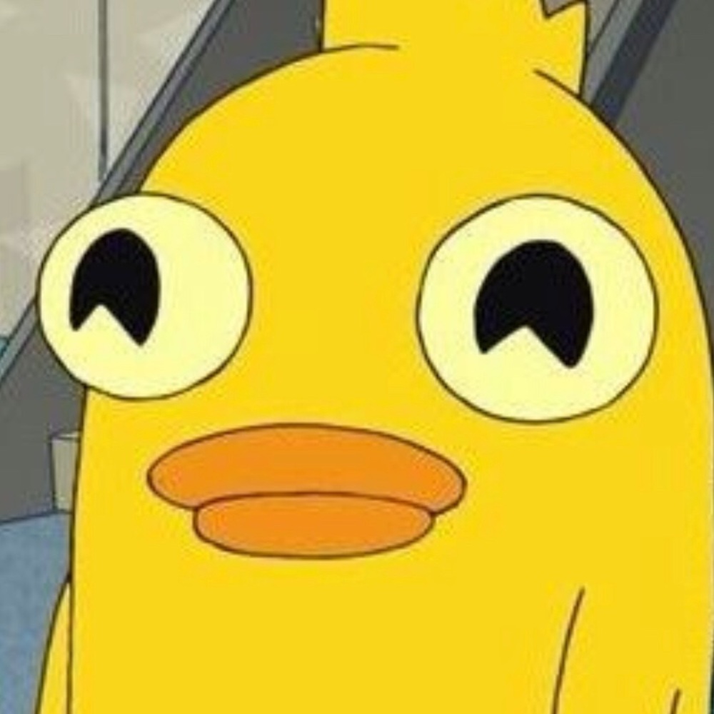 Meet your Posher, Kora